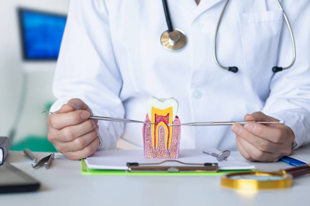 Professional Emergency Dental Service in WA